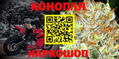 прущие грибы Ипатово